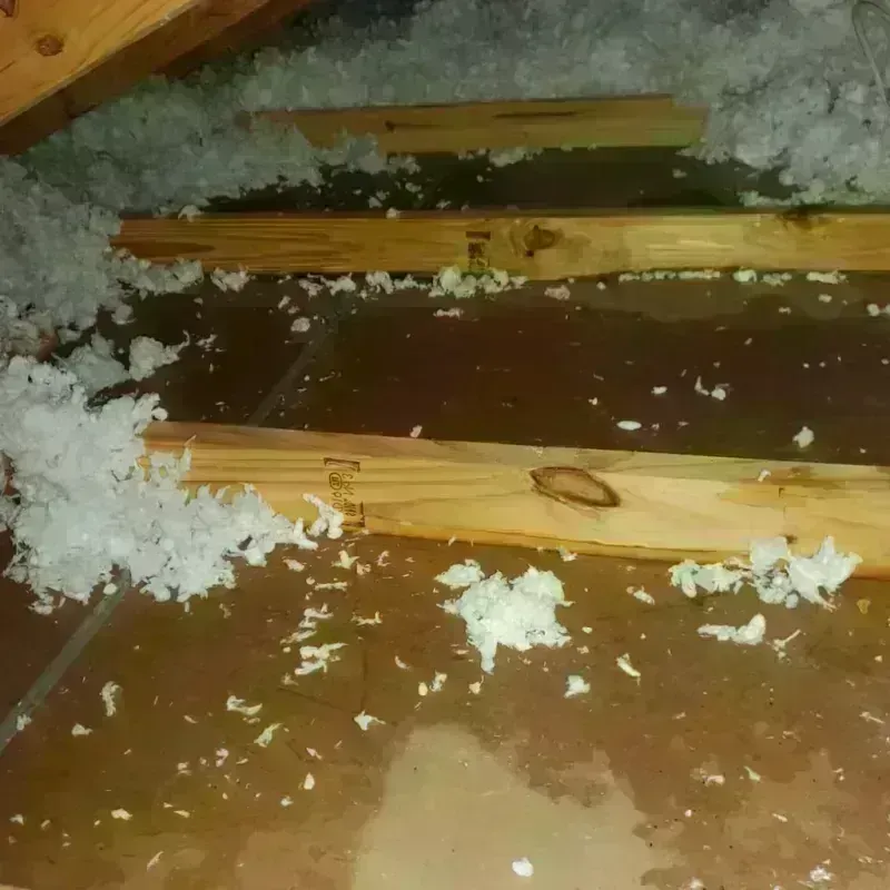 Attic Water Damage in Gordon, NE