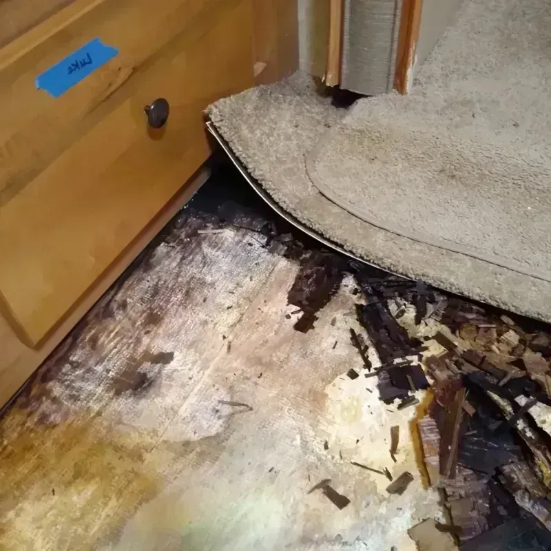 Best Wood Floor Water Damage Service in Gordon, NE